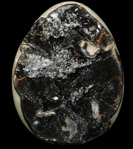 Polished Septarian Geode - Black Crystals #89566